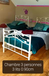 2 łóżka pojedyncze w sypialni z: w obiekcie Gîte au coeur de la Touraine w mieście La Chapelle-sur-Loire