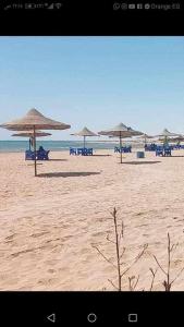 a group of umbrellas on a beach with the ocean at Blu lagon in Ras Sedr