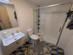 uma casa de banho com um WC, um lavatório e um chuveiro em Apartamentos Rurales Mazaleón em Mazaleón