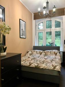 a bedroom with a bed and a dresser and windows at Słowackiego No. 5 APARTMENT in Szczawno-Zdrój