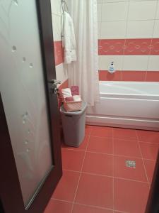 Kúpeľňa v ubytovaní Apartament Bio