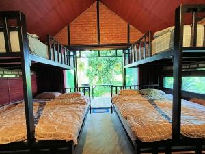 Ce dortoir comprend 3 lits superposés et une fenêtre. dans l'établissement Farm Hug Aai Yam Boutique Homestay, 