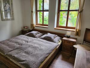 a bedroom with a bed and two windows at Hospůdka Na Trucovně in Sázava