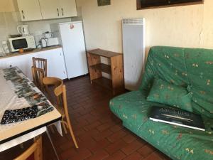 uma sala de estar com um sofá verde e uma cozinha em Chalet du Renard em Aillon-le-Jeune