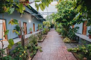 un couloir de jardin dans une maison ornée d'arbres et de plantes dans l'établissement Đại Dương La Gi Homestay & Coffee, à La Gi