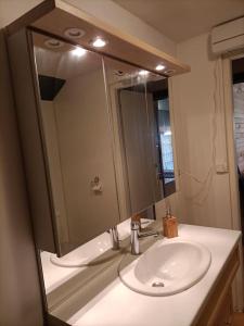 a bathroom with a sink and a large mirror at La Villa aux Bananiers 