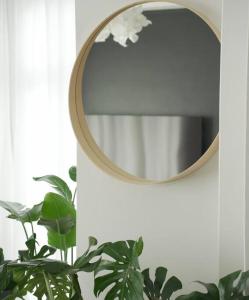 a mirror hanging on a wall next to a plant at Sewaro Homestay, 2BHK Suite in Āīzawl