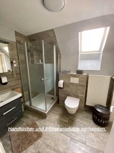 a bathroom with a shower and a toilet and a sink at Bed & Breakfast in Legden in Legden