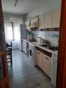 cocina con fregadero y lavadora en Piso Prado Verde, en Covaleda