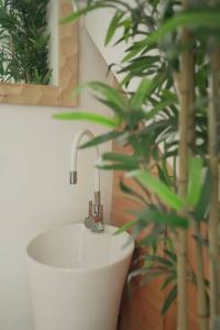 a bathroom with a sink and a potted plant at Sewaro Homestay, Vista Suite. in Āīzawl