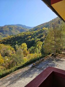 a view of a mountain with trees and a road at Forest Spring in Asenovgrad