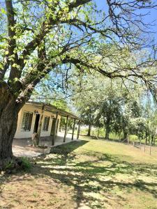 Gallery image of Mi paraíso verde in Junín