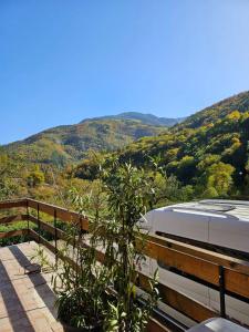 a train on the tracks with a mountain in the background at Forest Spring in Asenovgrad