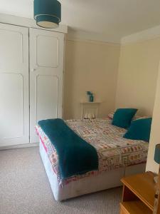 um quarto com uma cama com almofadas azuis em Ann & Andy em Kilkee