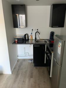 une petite cuisine avec un évier et un réfrigérateur dans l'établissement Jolie 2 pièces avec terrasse jusqu'à 5 personnes Nancy centre, à Nancy 9 autres photos