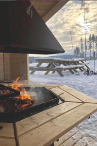 stół piknikowy z ogniem w śniegu w obiekcie Terrassen 57 in Kungsberget - Your home away from home w mieście Järbo