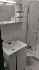 a bathroom with a sink and a shower and a toilet at Playa Sant Adrià de Besos in Sant Adria de Besos