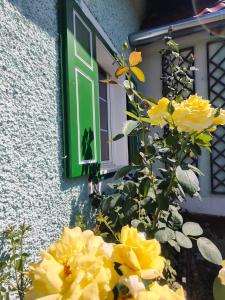 een bos gele bloemen voor een raam bij Ferienhaus Müller Bauernhaus in Sankt Stefan ob Stainz