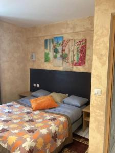 a bedroom with a bed and some paintings on the wall at Appartement « Athènes » à Avignon in Avignon