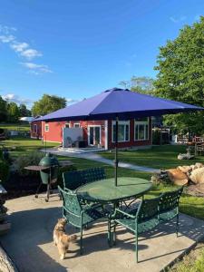 einen Picknicktisch mit einem blauen Regenschirm im Hof in der Unterkunft Zen Designed Guest Suite with PRIVATE 2-mile Trail Loop in Uxbridge