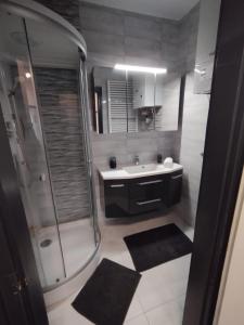 a bathroom with a shower and a sink at Cosmopolitan Apartman in Sárospatak