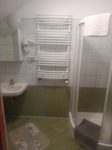 uma casa de banho com um chuveiro e um lavatório. em Villa Aura em Ciechocinek