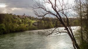 uma vista para um rio com uma árvore em primeiro plano em Vila Jasna em Radovljica