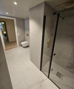 a bathroom with a shower and a toilet at Apartment with Balcony in Erling Skjalgssons in Oslo