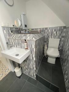 La salle de bains est pourvue de toilettes et d'un lavabo. dans l'établissement Kleine-Radoase Ferienwohnung mit Super- Aussicht, à Weilbourg