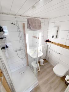 ein Badezimmer mit Dusche, Toilette und Waschbecken in der Unterkunft Mosel View Old Town Apartments in Zell an der Mosel