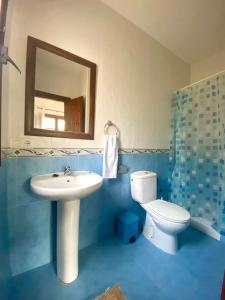 ein Badezimmer mit einem Waschbecken, einem WC und einem Spiegel in der Unterkunft Casa Las Herriza By Solymar Holiday in Alcaucín
