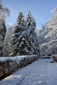 B&B De Boerderij v zimě