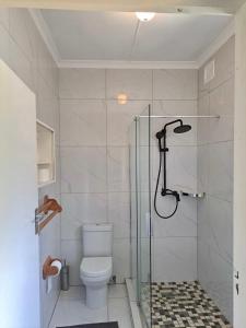 a bathroom with a toilet and a glass shower at Mino Guest House in Pietermaritzburg