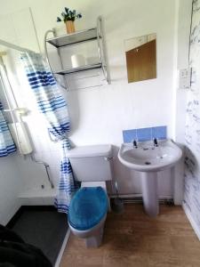 a small bathroom with a toilet and a sink at Cartref Bach in Llanybyther