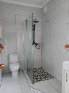 a bathroom with a glass shower with a toilet at Mino Guest House in Pietermaritzburg