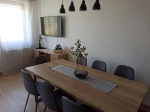 a dining room with a wooden table and chairs at Apartmán Vendelínka in Valtice