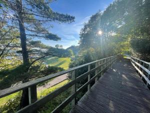 a wooden boardwalk with the sun shining over a field at Malabar House in Lyme Regis