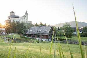 dom w polu z zamkiem w tle w obiekcie Residenz zur Hackenschmiede w mieście Mauterndorf