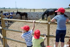 a group of children standing around a fence looking at horses at Agriturismo Scalelle in Otranto