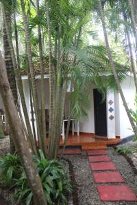 a house with a palm tree and a red pathway at MINT INSIDE GARDEN in Varkala