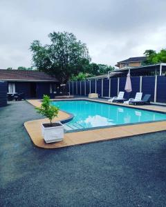 a swimming pool with a bonsai tree in the middle at Mino Guest House in Pietermaritzburg