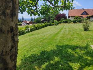 a field of green grass with a house in the background at Ferienhaus Müller Bauernhaus in Sankt Stefan ob Stainz