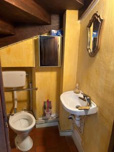 La petite salle de bains est pourvue d'un lavabo et de toilettes. dans l'établissement La Maillardière - Maison de campagne avec piscine, à Corné