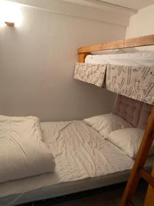 ein Schlafzimmer mit einem Etagenbett und einer Leiter zu einem Bett in der Unterkunft ST LARY SOULAN in Saint-Lary-Soulan