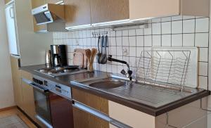 Majoituspaikan Ferienwohnung Luise keittiö tai keittotila