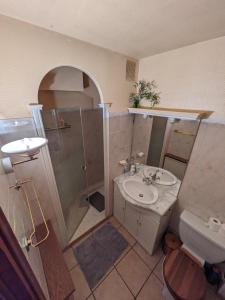 bagno con lavandino, doccia e servizi igienici di le jardin de talèfre a Chamonix-Mont-Blanc