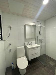a bathroom with a toilet and a sink at Kotimaailma, Hostel Kivikkotie (room 6) in Vantaa