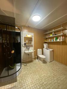 a bathroom with a shower and a toilet and a sink at Kotimaailma, Hostel Kivikkotie (room 6) in Vantaa