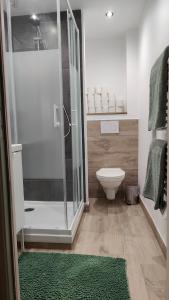ein Badezimmer mit einer Dusche, einem WC und einem grünen Teppich in der Unterkunft le Plat Gousset-casino- plage - promenade in Granville