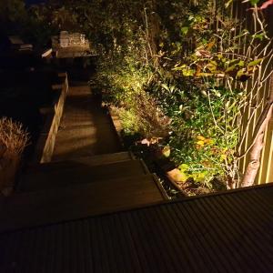 a set of stairs in a garden at night at House on Costal Village in Peacehaven